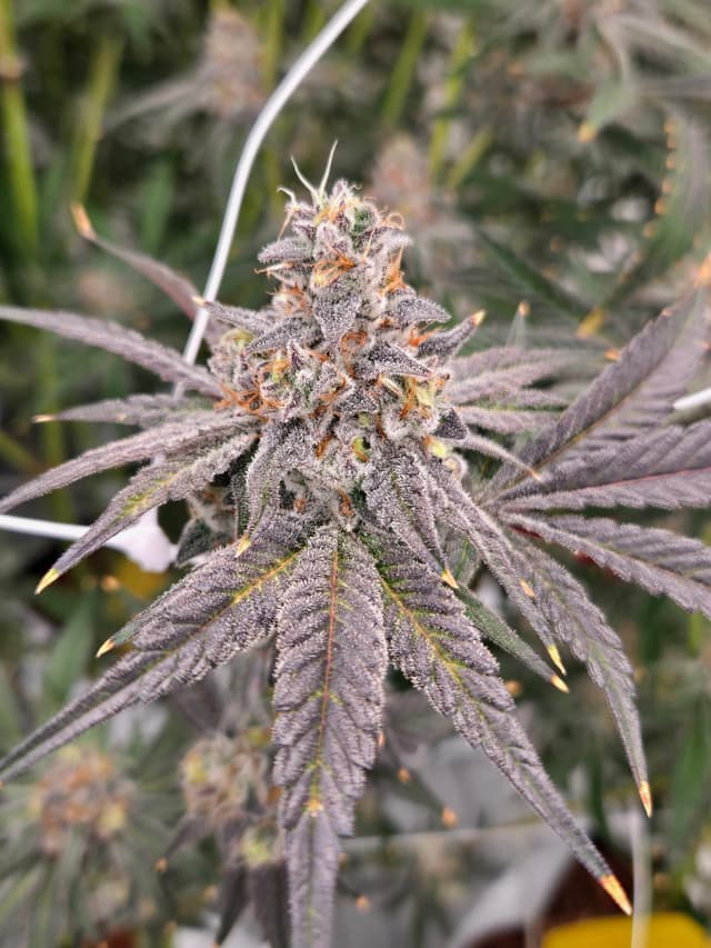 Dante's Inferno hero carousel image 2