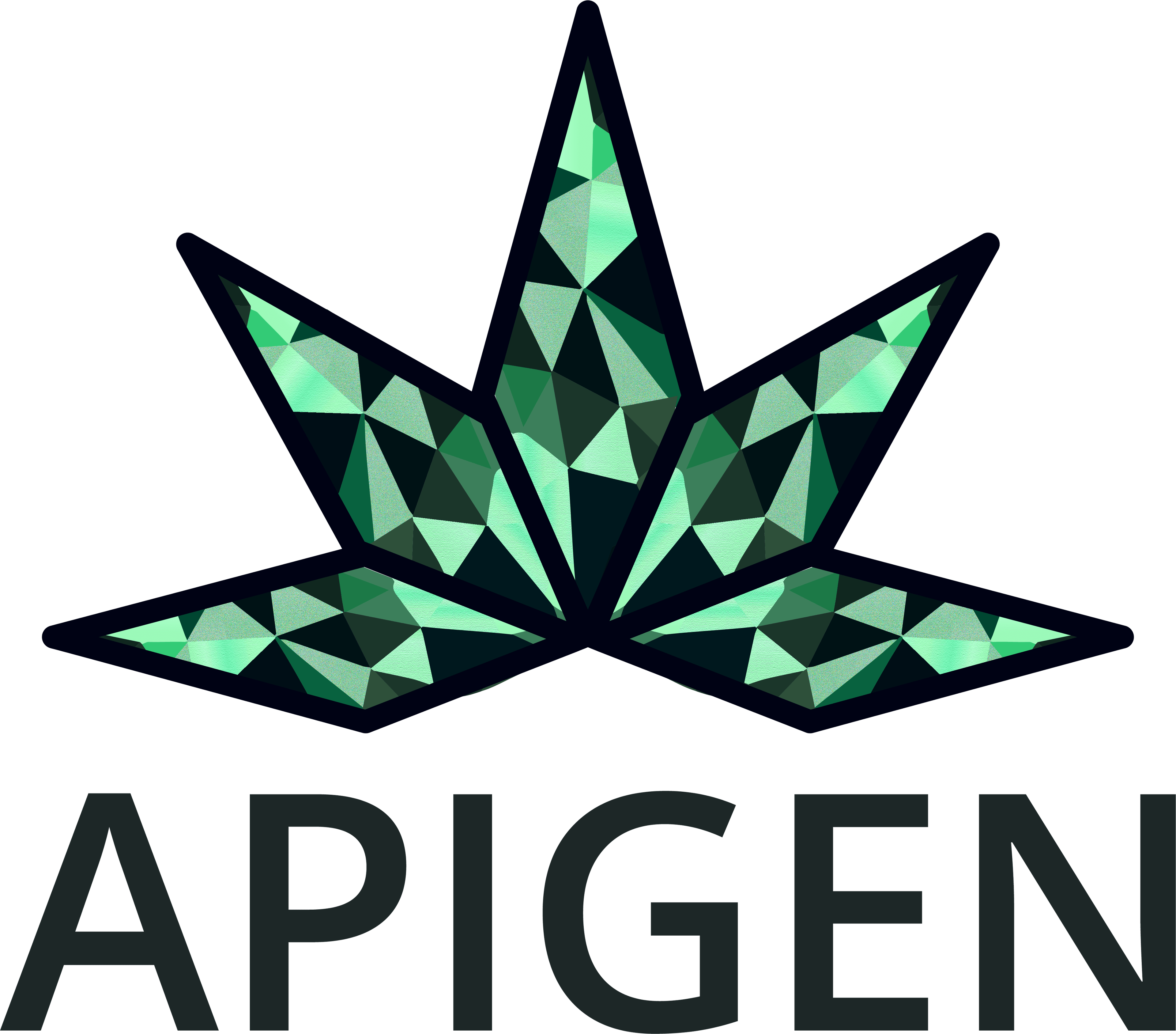 Apigen logo with wordmark